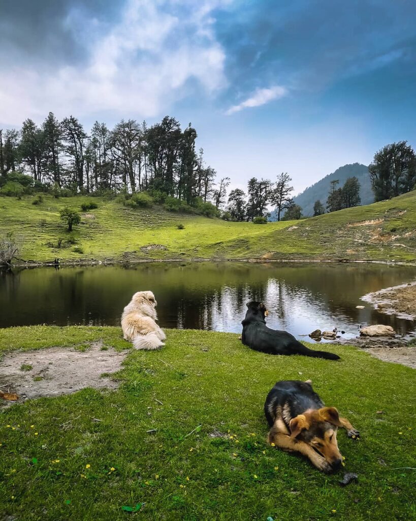 dayara bugyal tour package