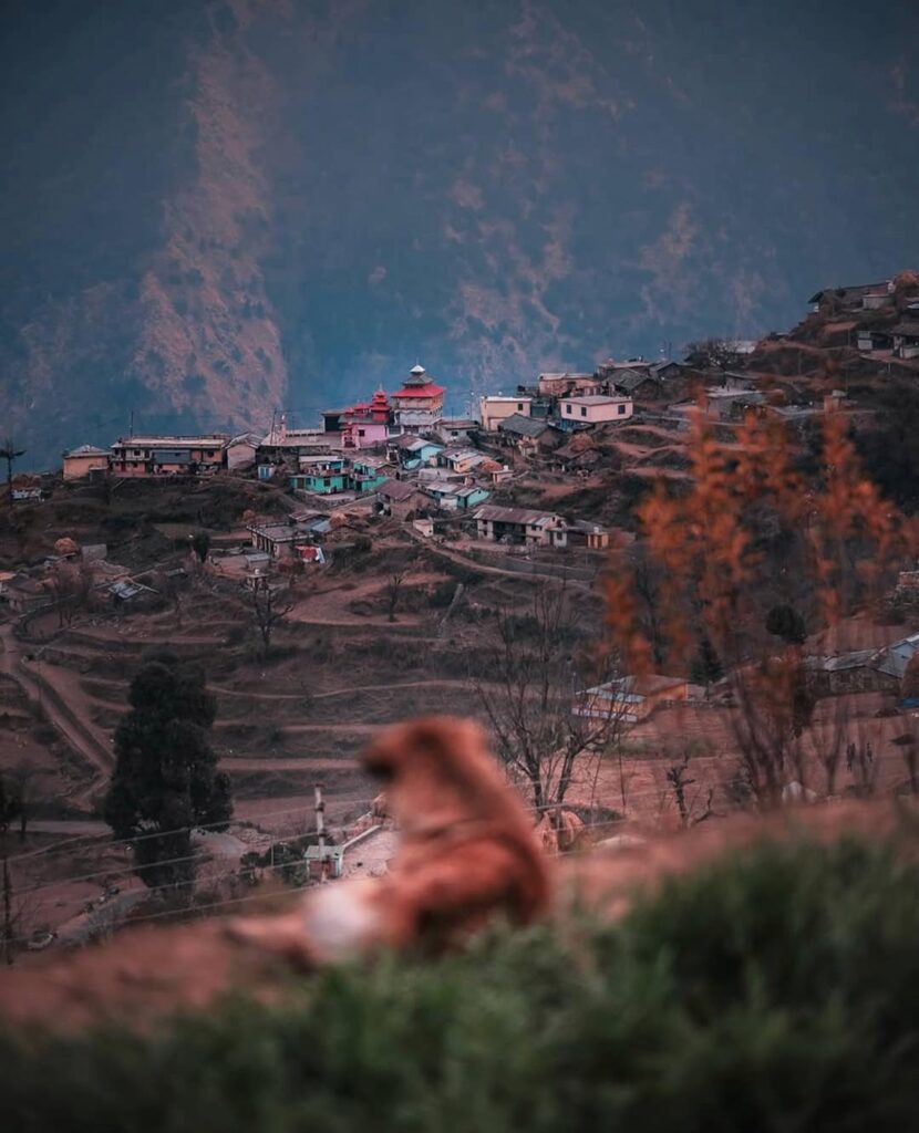 dayara bugyal tour package