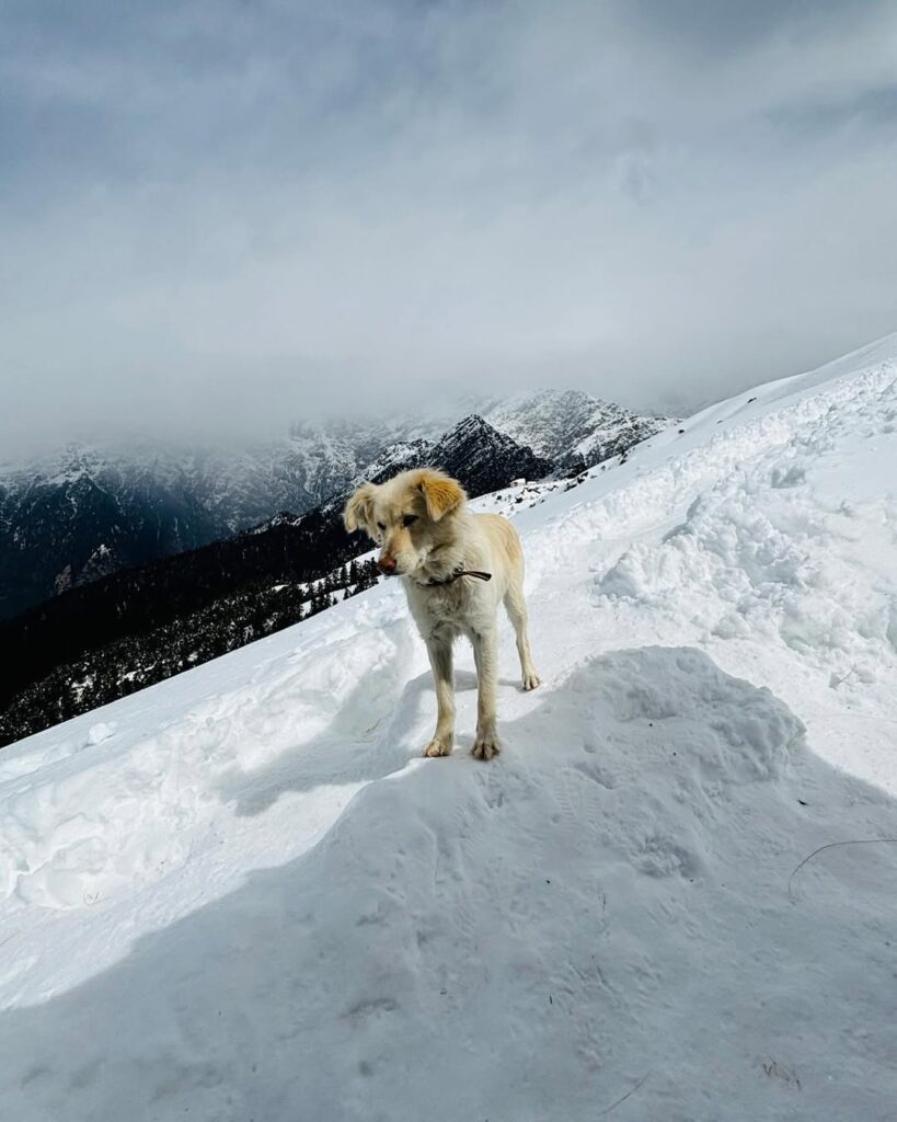 tungnath temple trek