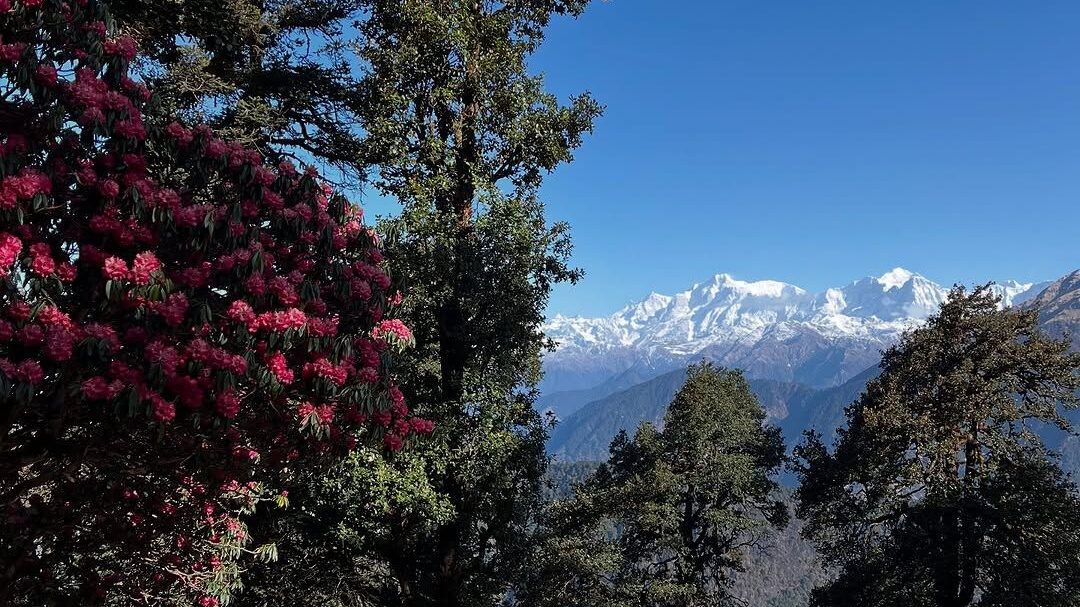 chopta tungnath trek