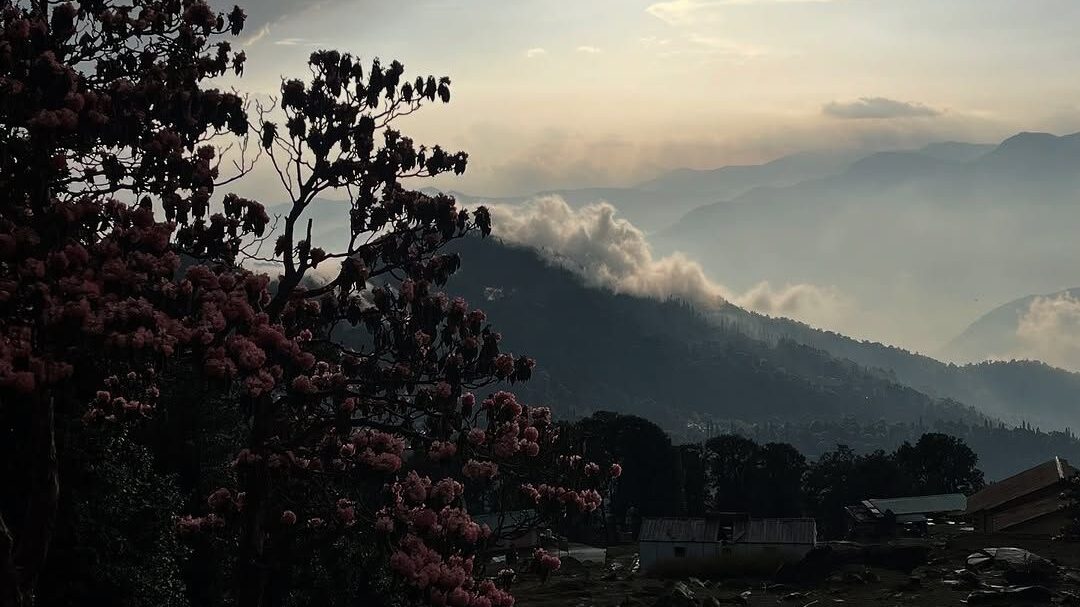 chopta tungnath trek from delhi
