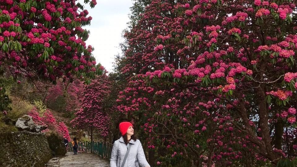 chopta tunganth trek