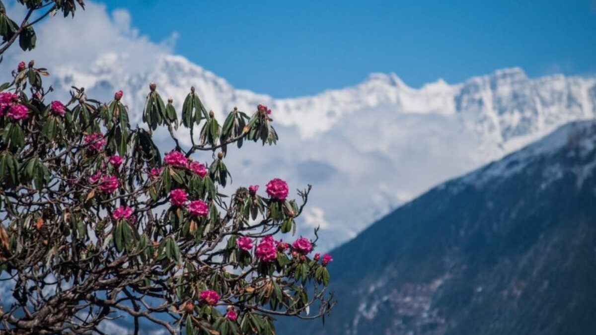chopta tungnath trek