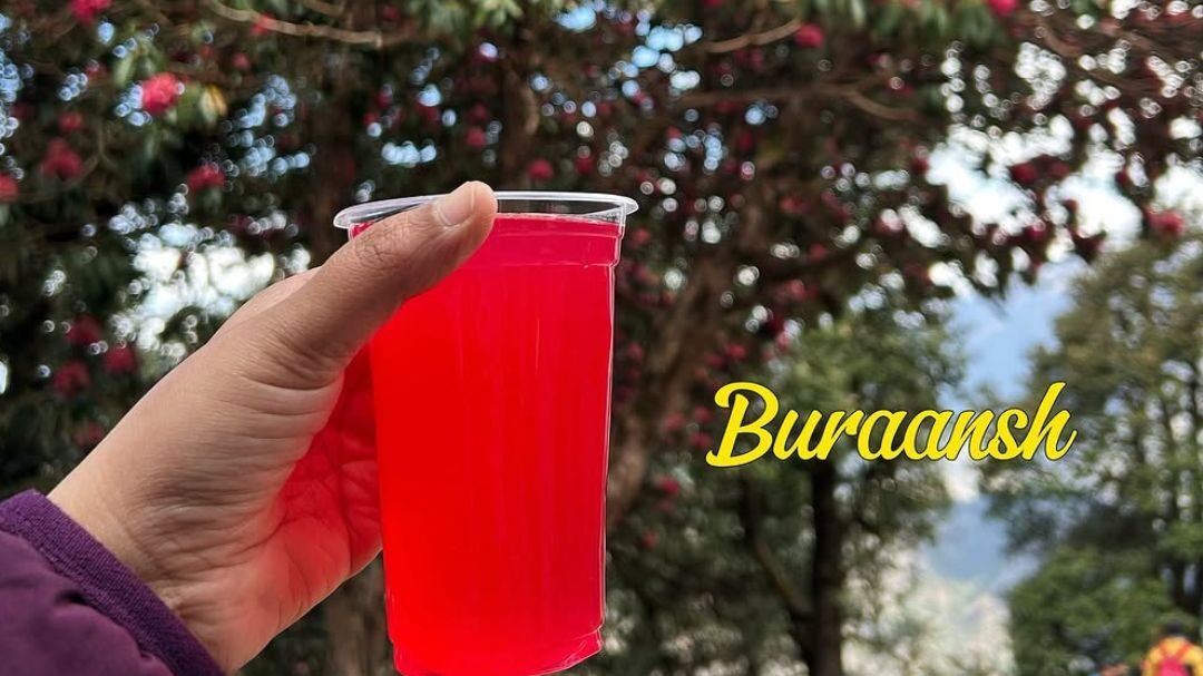 chandrashila summit trek