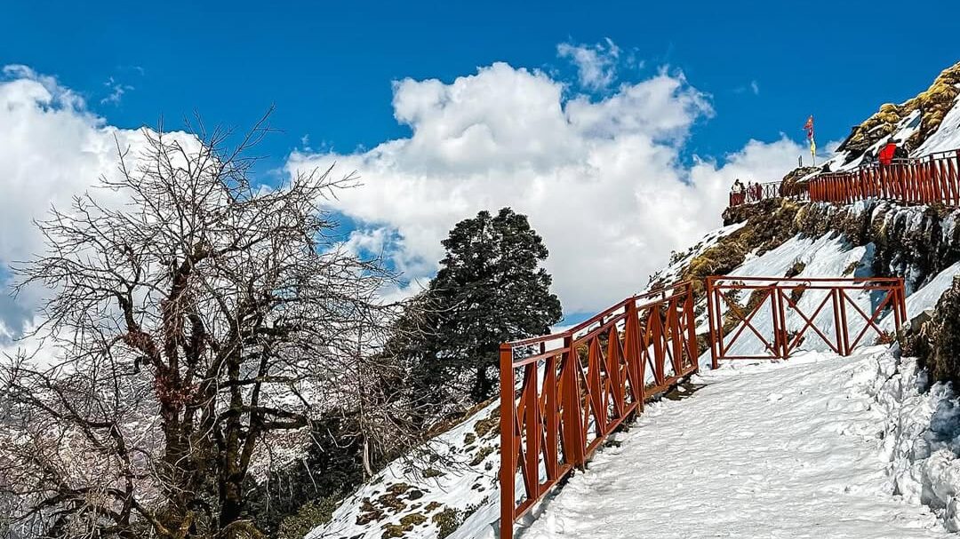 chopta tour package