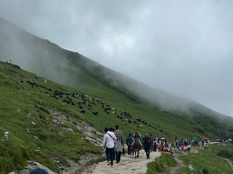 chopta chandrashila trek 