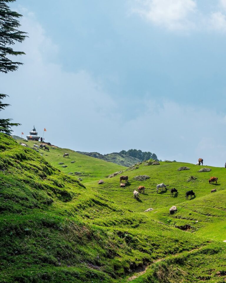 chakrata tour package