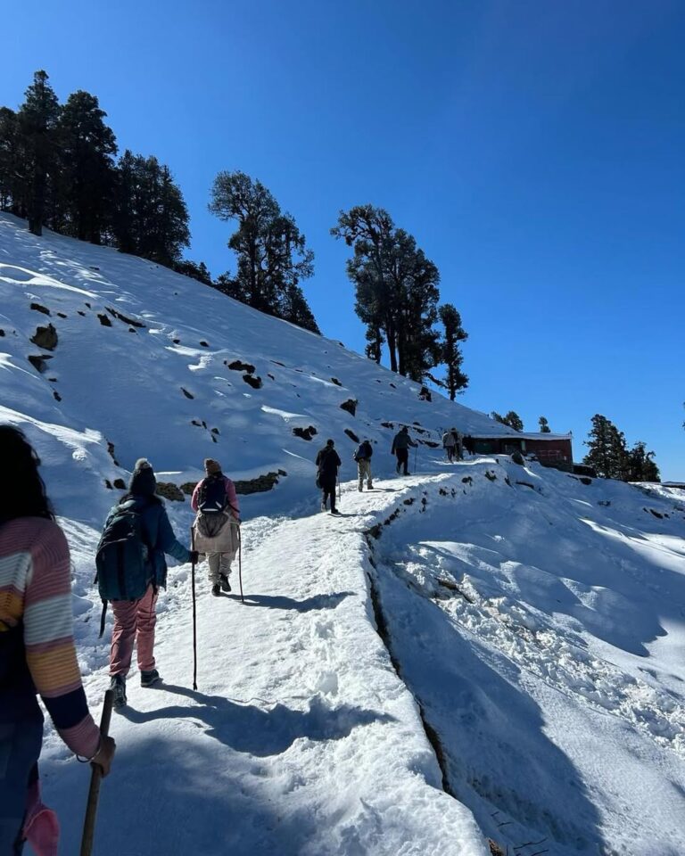 chopta tour package