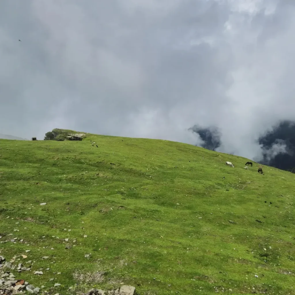 chopta tungnath trek from delhi 