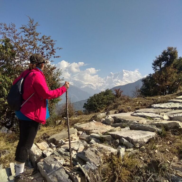 chopta tour package