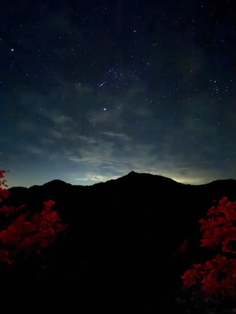 chopta tungnath trek