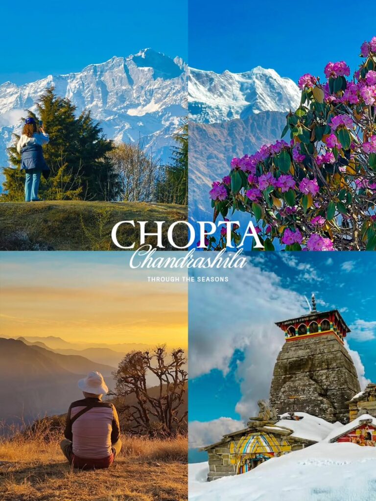 chopta tour package from delhi