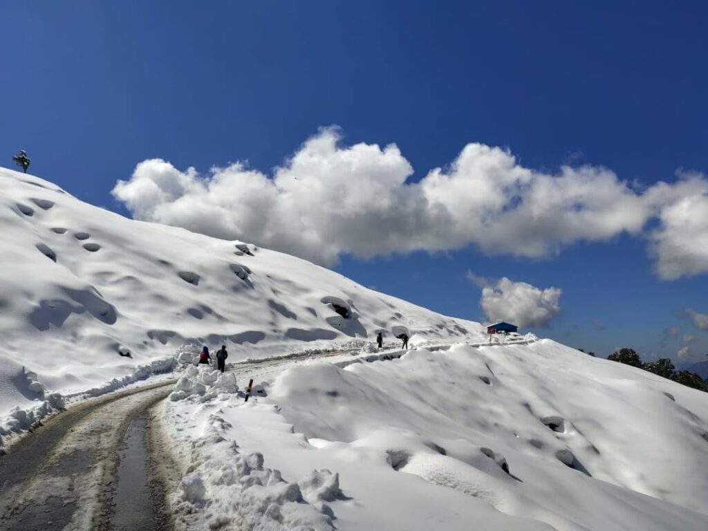 chopta tour package