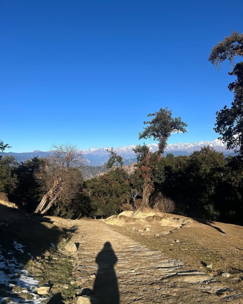 chopta tour package