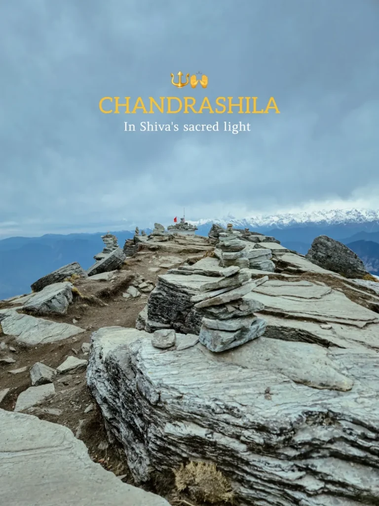 chopta tour package