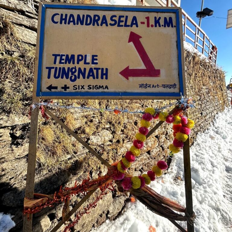 chopta tour package