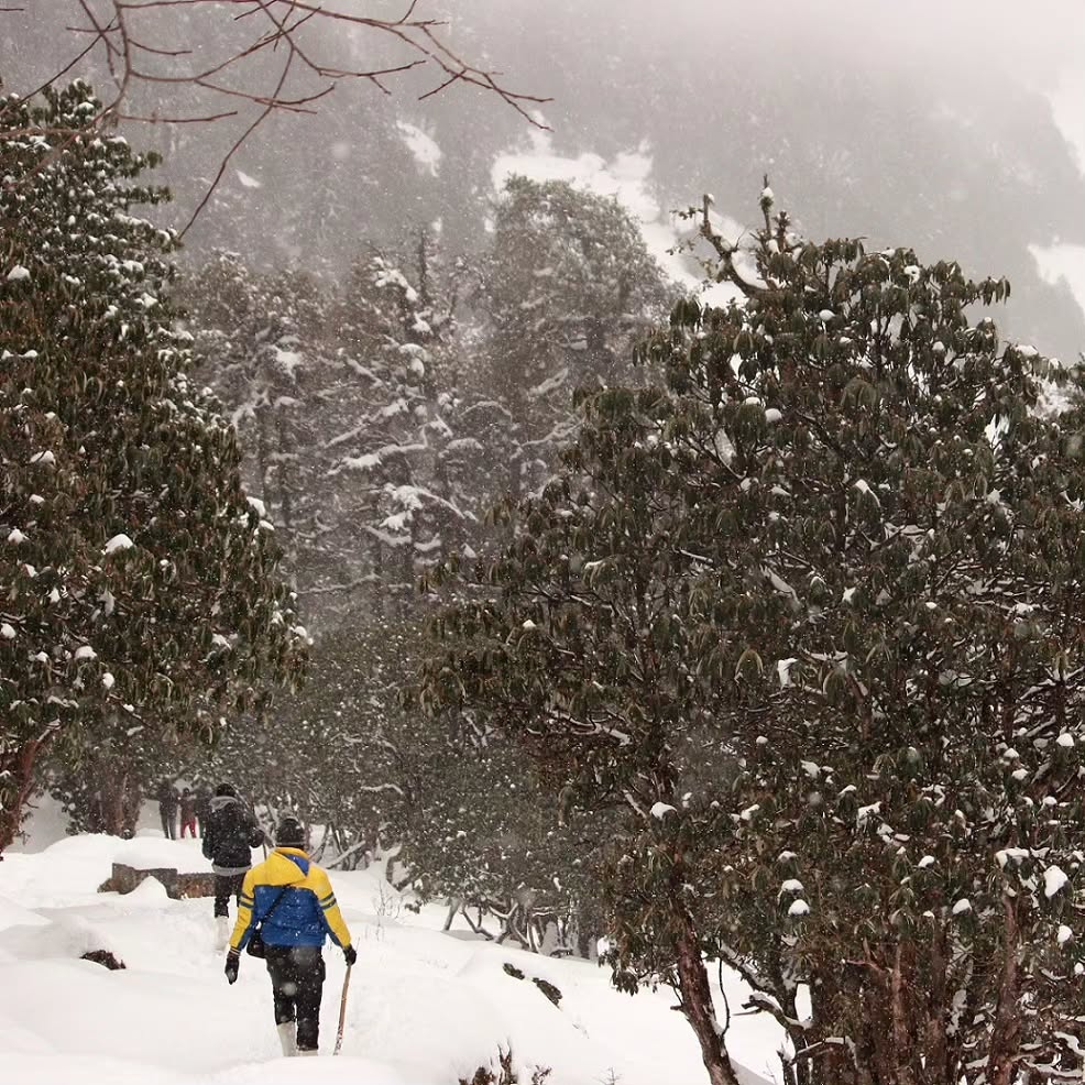 chopta tour package from delhi