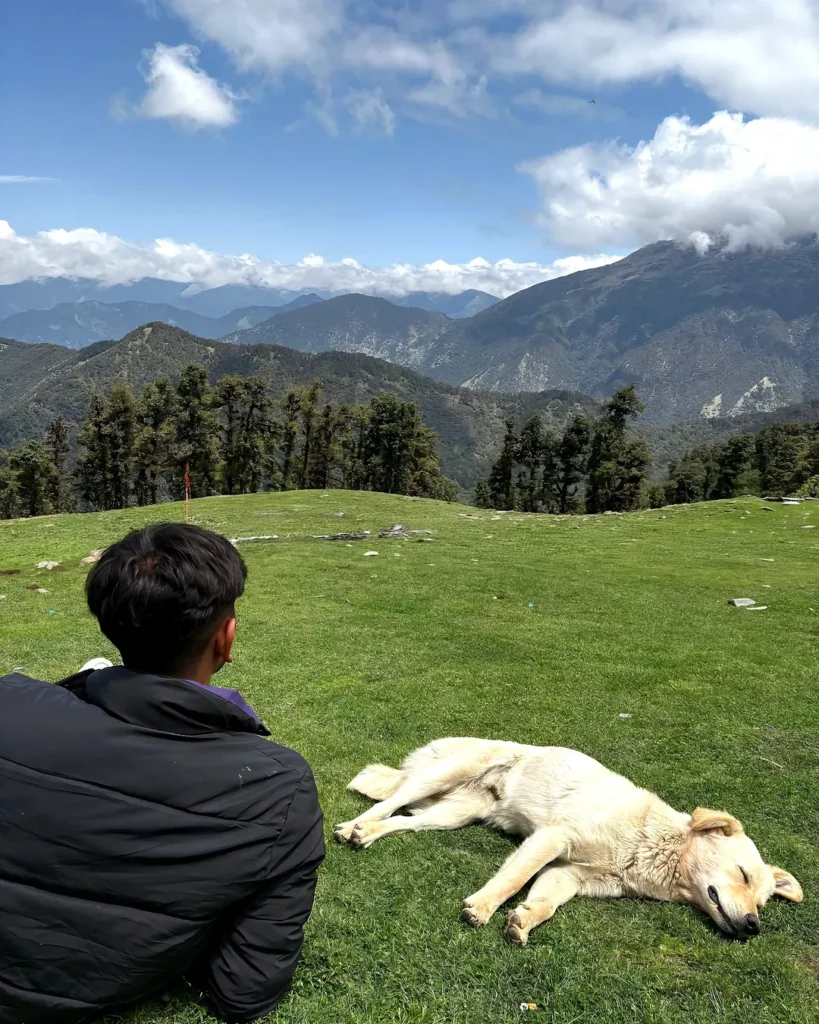 chopta tungnath tour