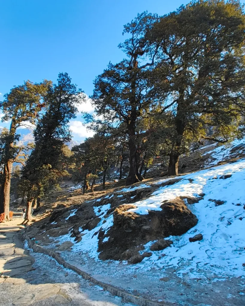 chopta tour package
