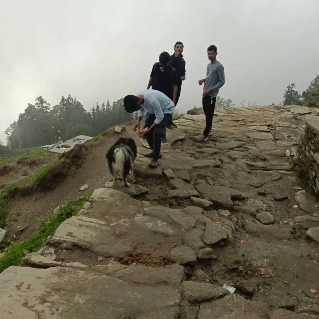 chopta tour package