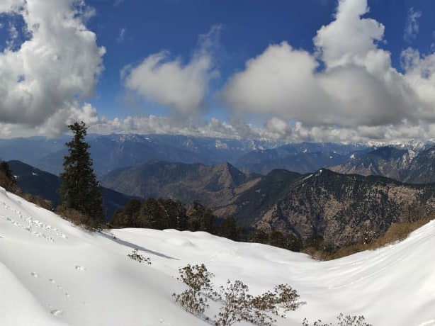 chopta tour package