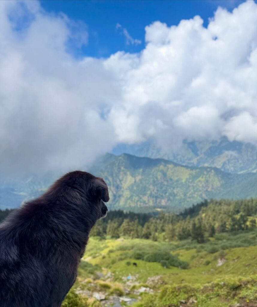 chopta tour package from delhi 