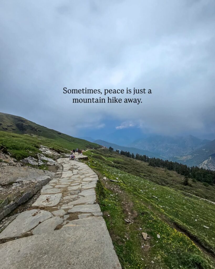 chopta trekking tour package