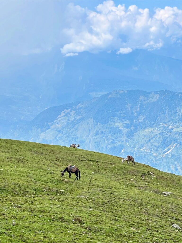 chopta tour package from delhi