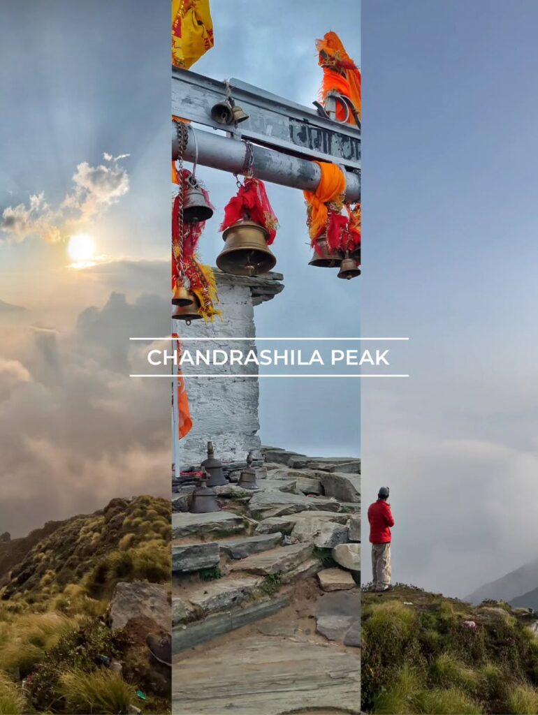 chopta tour package