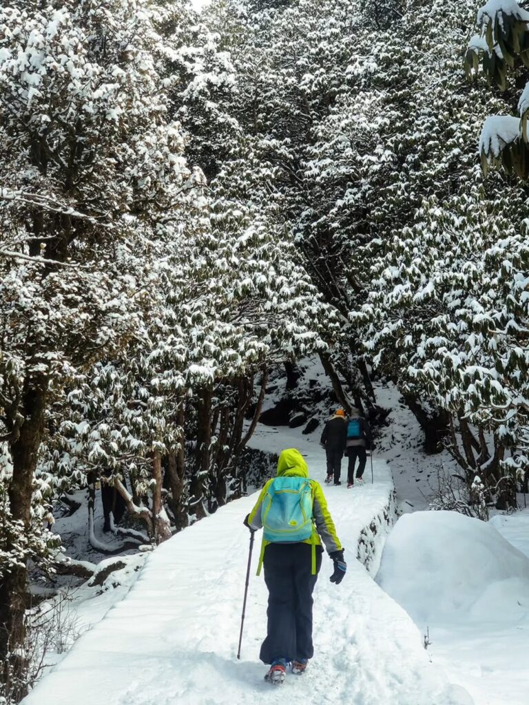 chopta winter package