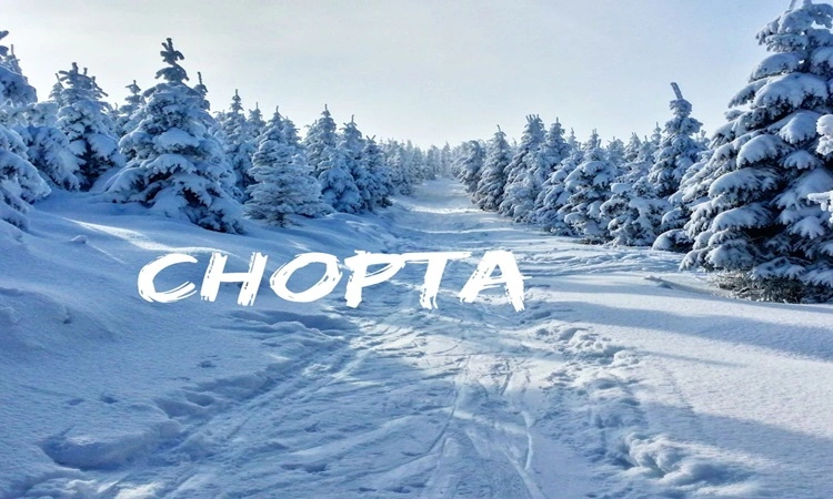 chopta tour package