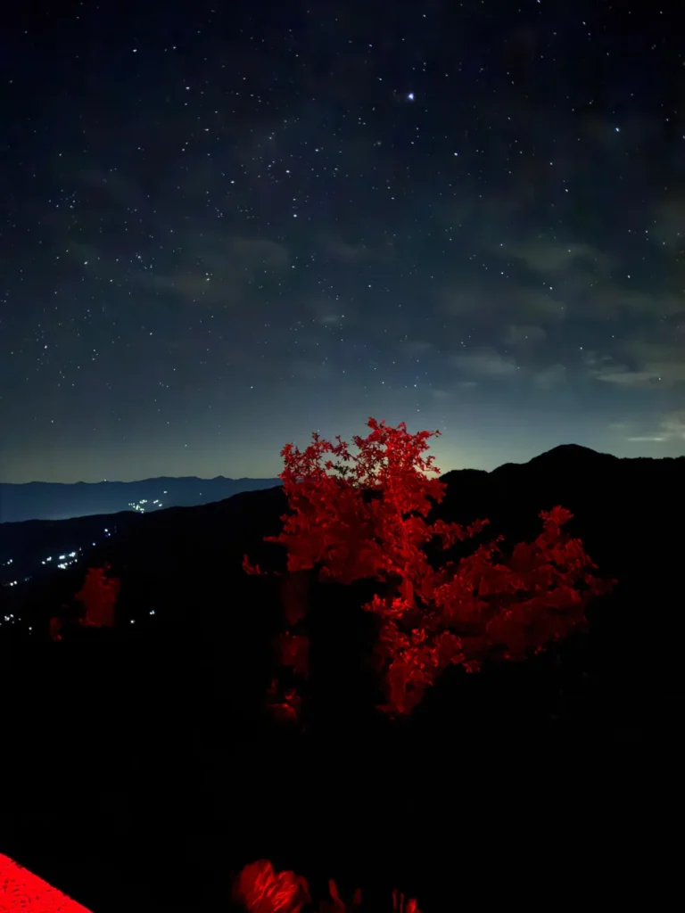 chopta tungnath trek