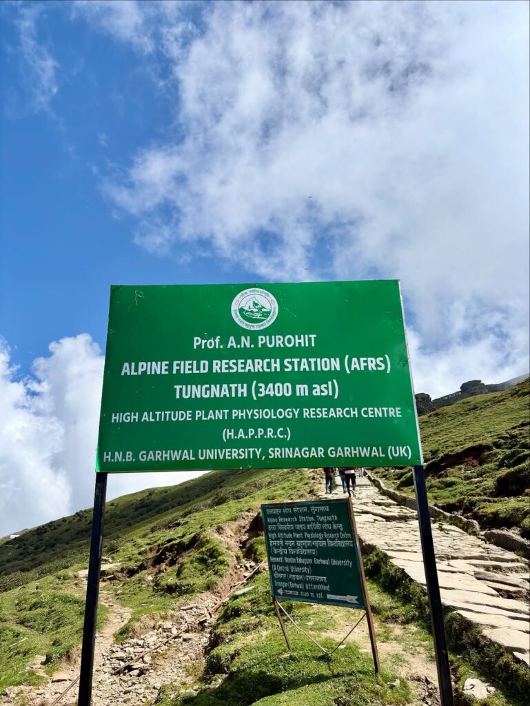 chopta tour package from delhi